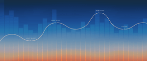 Why Sleep Is the Ultimate Key to Longevity and Health