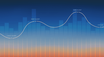 Why Sleep Is the Ultimate Key to Longevity and Health