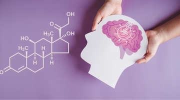 Understanding Stress Hormones – And How to Balance Them Biochemically