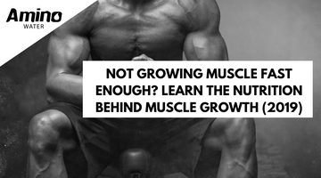 Not Growing Muscle Fast Enough? Learn The Nutrition Behind Muscle Growth (2019)