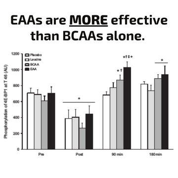 EAAs more effective than BCAAs alone