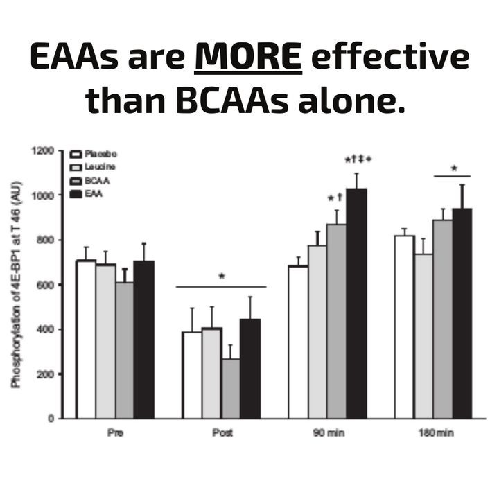 EAA & BCAA Amino Acid Powder Supplement - Amino